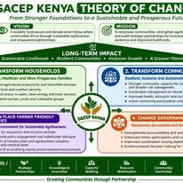 The original SACEP Kenya theory of change chart as published by the team